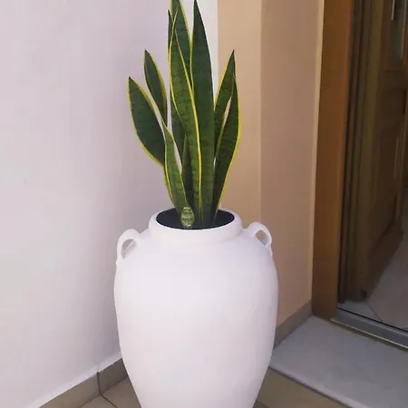 Διαμέρισμα Natural Life *
