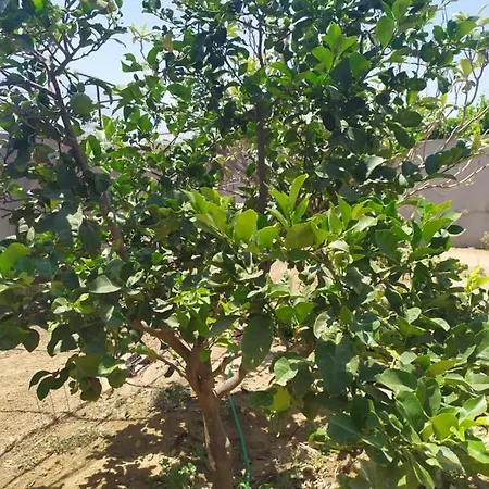Natural Life Διαμέρισμα